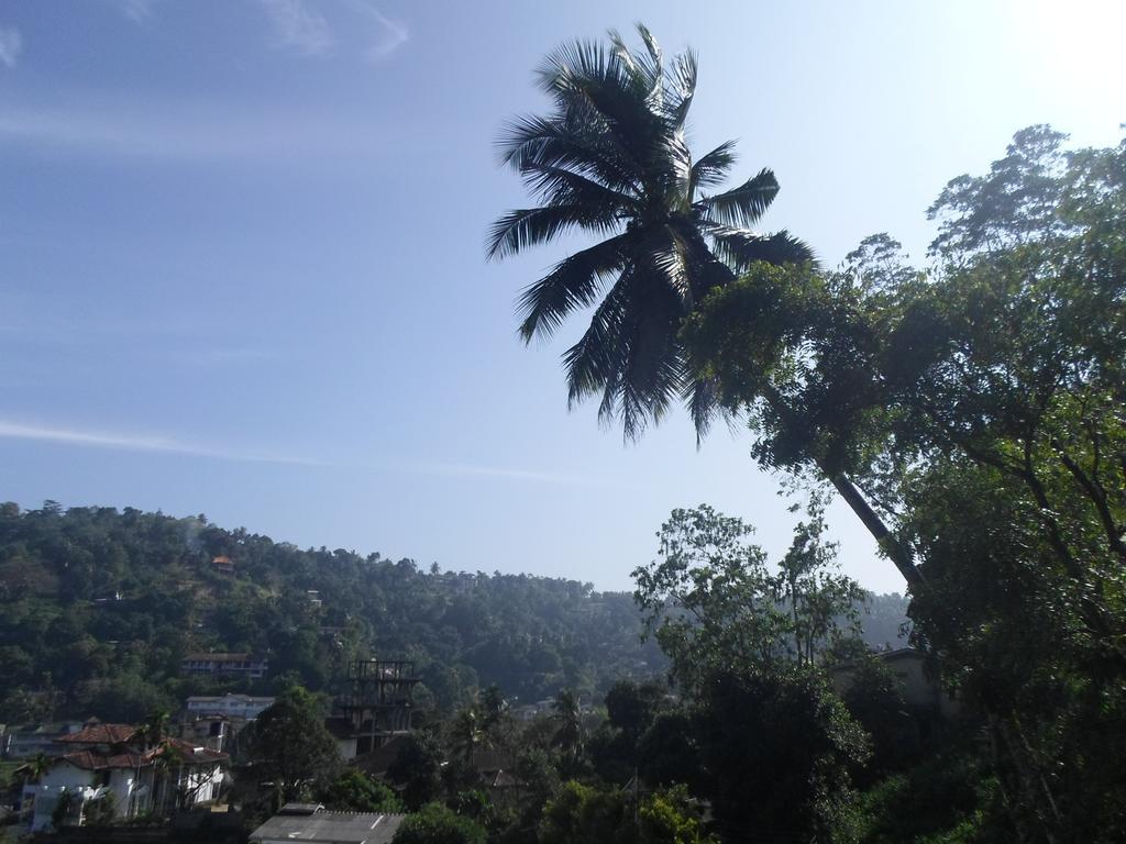Kandy Hills Ngoại thất bức ảnh